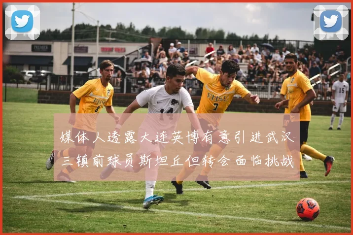 媒体人透露大连英博有意引进武汉三镇前球员斯坦丘但转会面临挑战