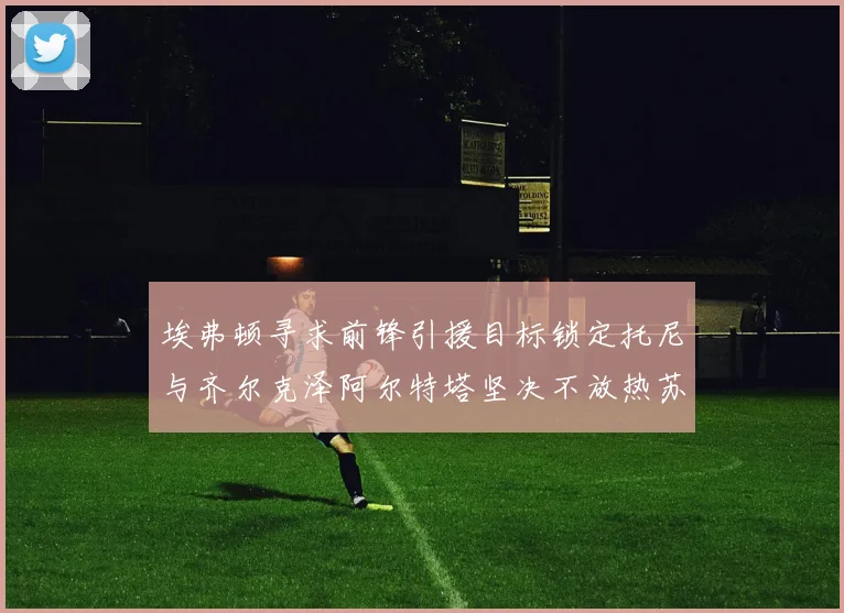 埃弗顿寻求前锋引援目标锁定托尼与齐尔克泽阿尔特塔坚决不放热苏斯
